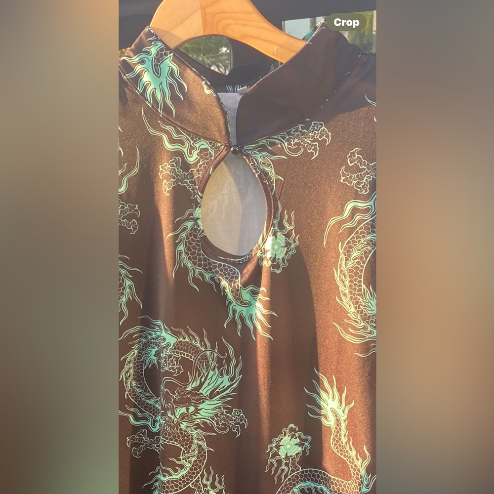 Source Unknown Brown Dress with Green Dragon Print